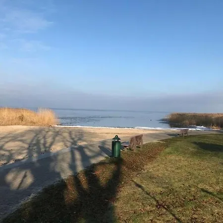Ferien-bungalow Nr -4- Im Seebad Ueckermündeot Bellin